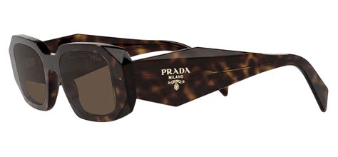 prada round brown sunglasses|prada pr17ws sunglasses tortoise brown.